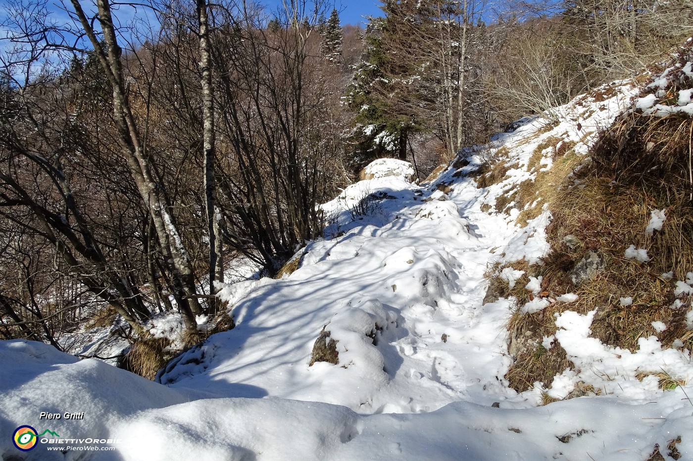 29 Prima pestavo tappeto di foglie, ora tappeto di neve fresca.JPG